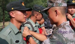 天涯退伍军人爆料视频大全,天涯爆料视频大全深度解析